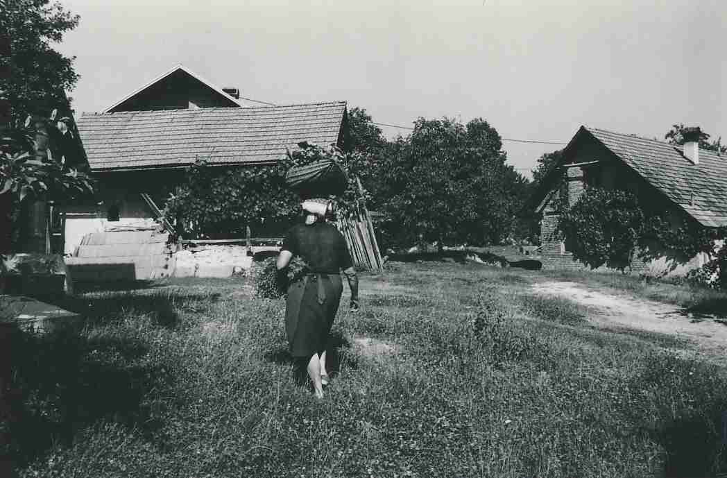 eika image